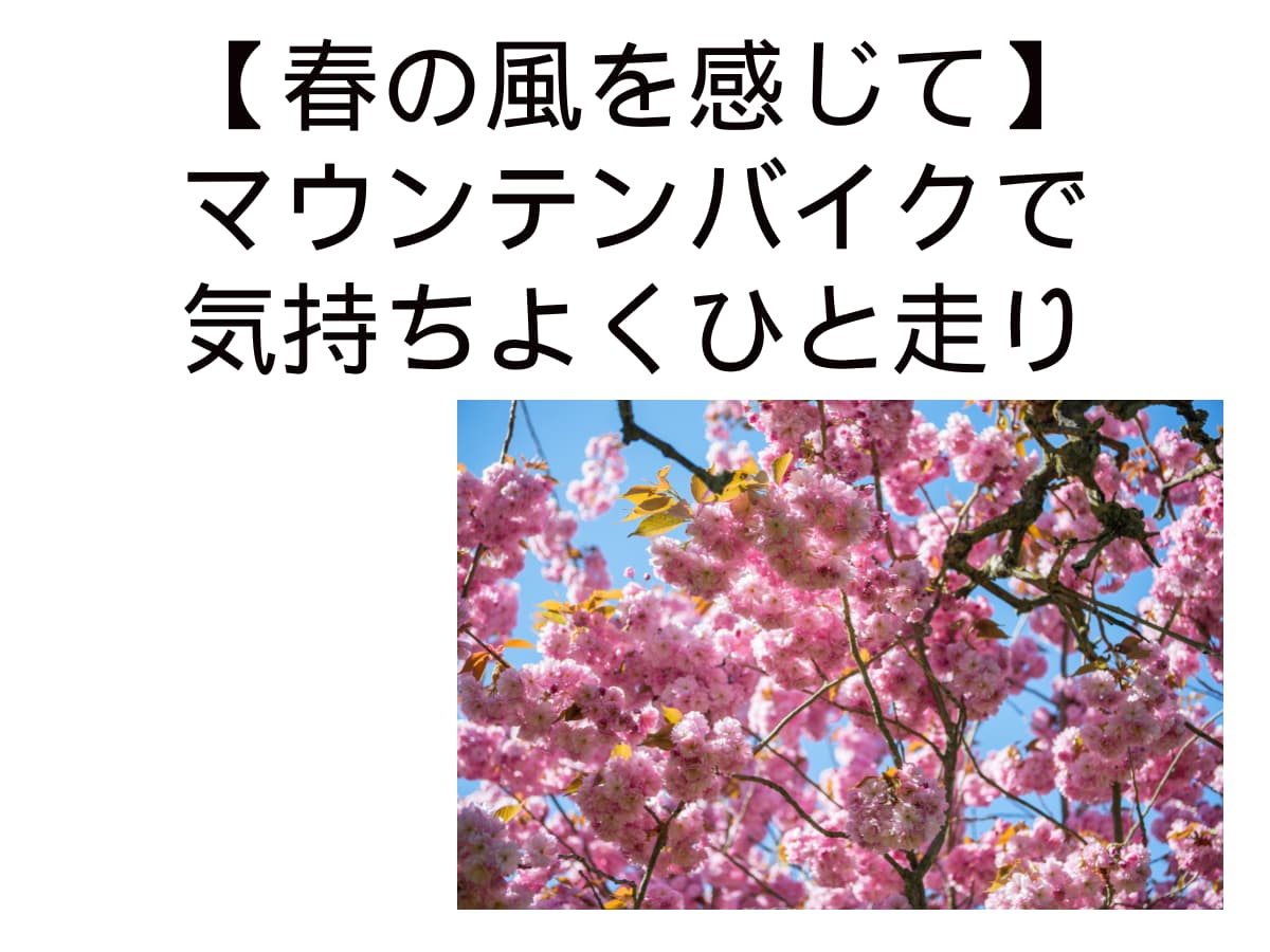 【春の風を感じて】マウンテンバイクで気持ちよくひと走り